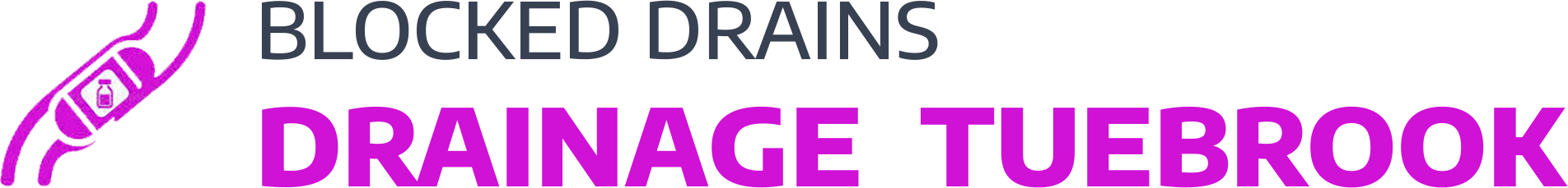 website logo